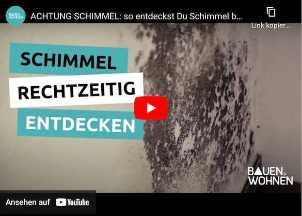 Schimmel an Wohnungswänden