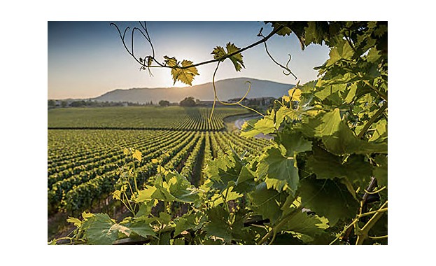 La Strada del Franciacorta ? Landschaftlich und geschmacklich eine Reise wert