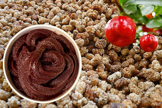 Powerfrüchte: Acai, Acerola und Maulbeere