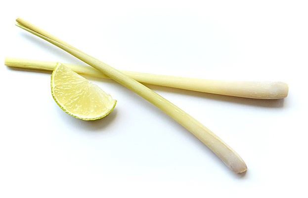 Zitronen- oder Lemongras