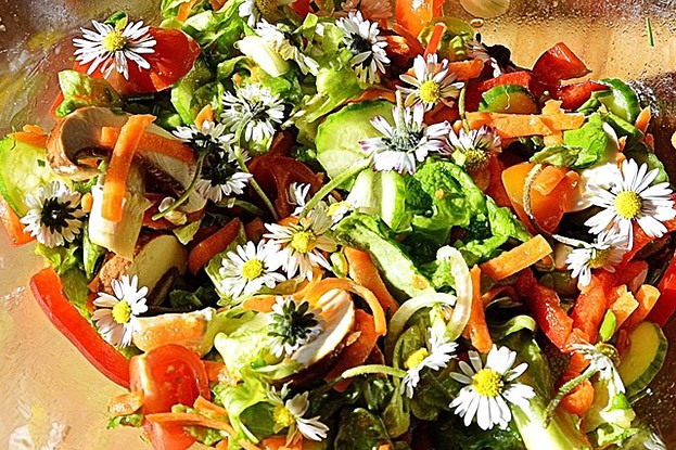 Blumen-Salat