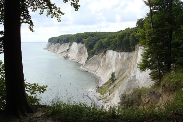 Kreidefelsen auf Rügen