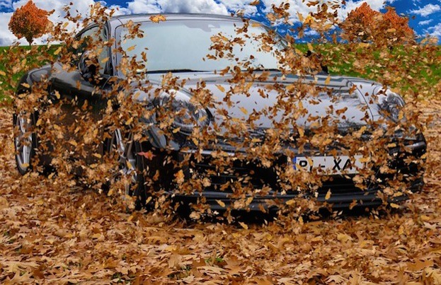 Laub: Vorsicht beim Autofahren 