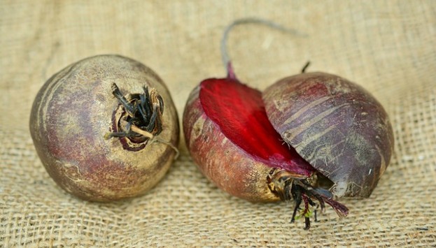 Rote Bete sind farbintensiv und vitaminreich