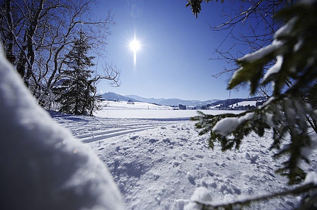 Winterwanderung an einem sonnigen Wintertag