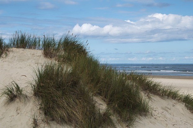 Nordsee-Insel Baltrum: Dünen so weit das Auge sieht