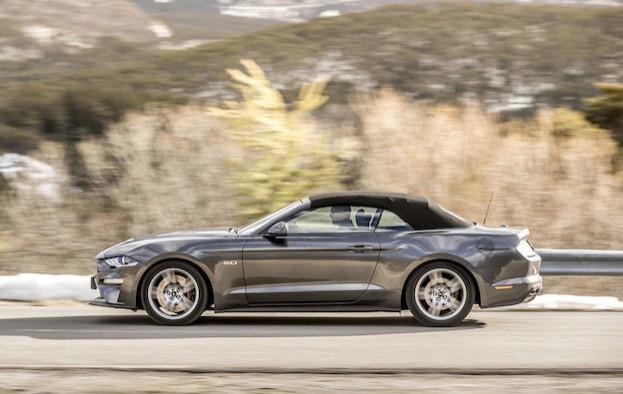 Der Mustang - einfach ein schickes Pony