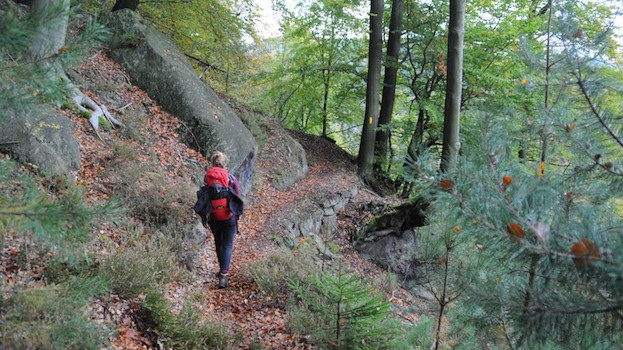 Wandern auf der ersten Trekkingroute im Elbsandsteingebirge, dem 
„Forststeig Elbsandstein“