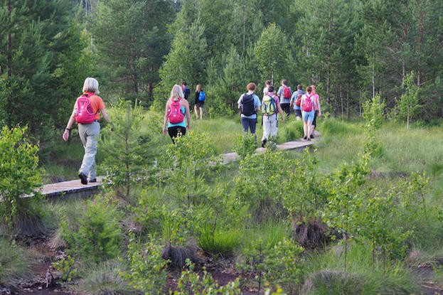 Wandern in der Goldsteig-Region (Ostbayern, Tschechien)