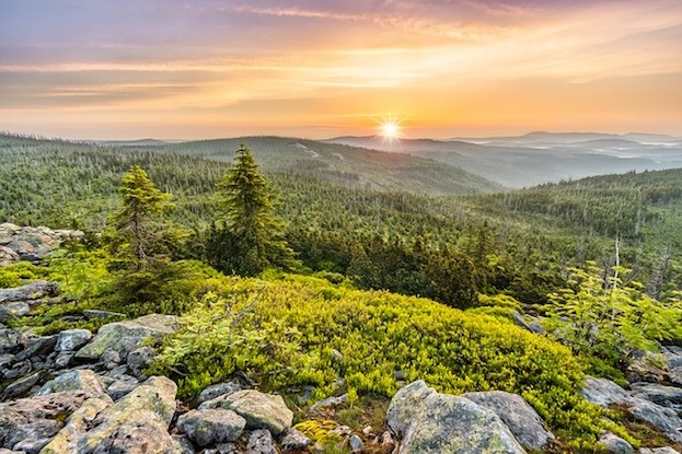 Sonnenaufgang am Lusen