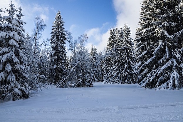 Geheimnisvoller Thüringer Wald