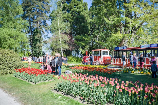 Tulpenfest in Morges am Genfer See