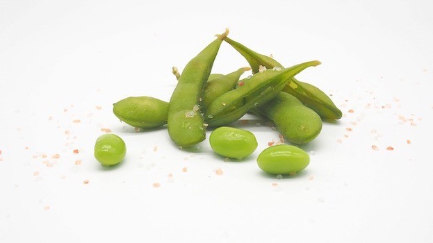 Edamame sind grüne Sojabohnen aus Japan