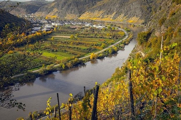 Wandern an der Mosel