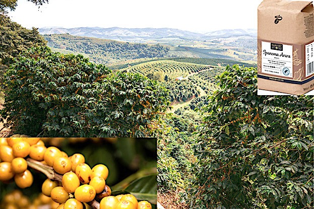 Blick von der Farm Ipanema Arara, gelbe Kaffeebohnen, Ipanema Arara Kaffee-Packung