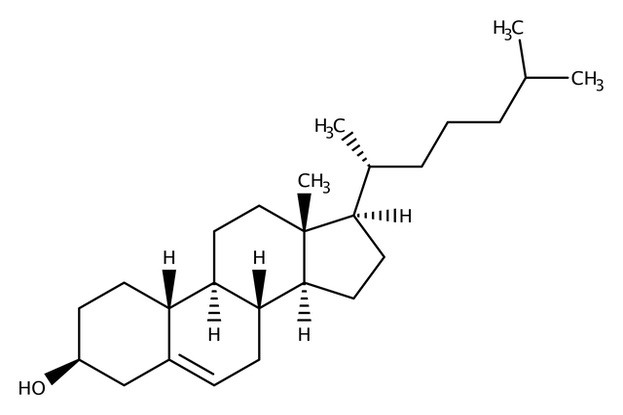 Cholesterin-Struktur