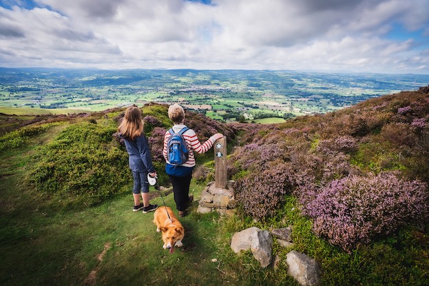 Foel Fenlli, Vale of Clwyd