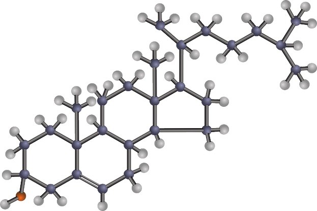 Cholesterin-Formel