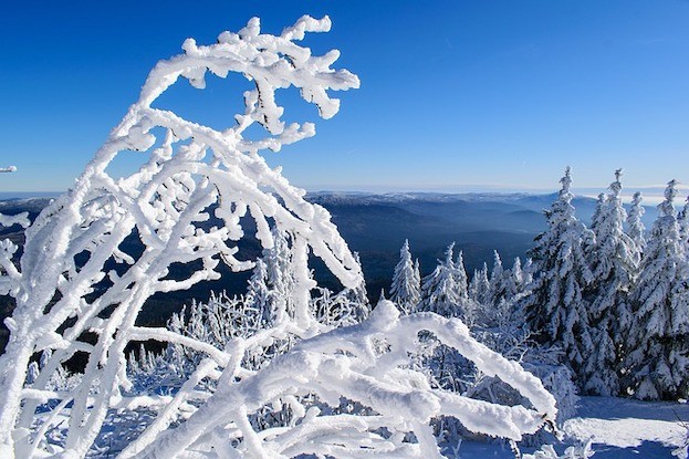 Winter am Arber im Bayerischen Wald