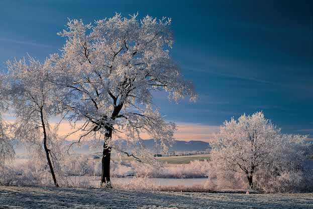 Winterwunderwelt im Murnauer Moos