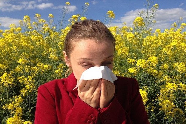 Allergiker leiden am Pollenflug
