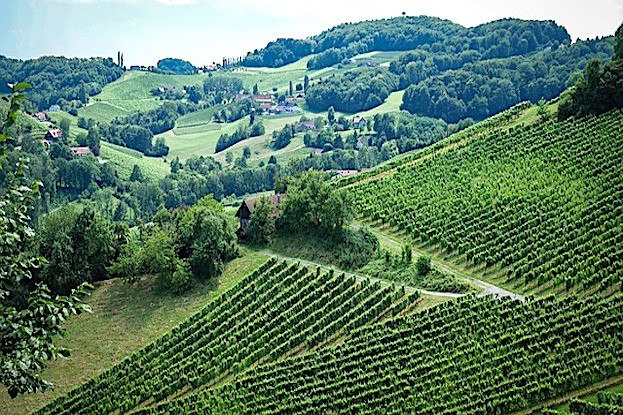 Das steirische Weinland, die Toskana Österreichs