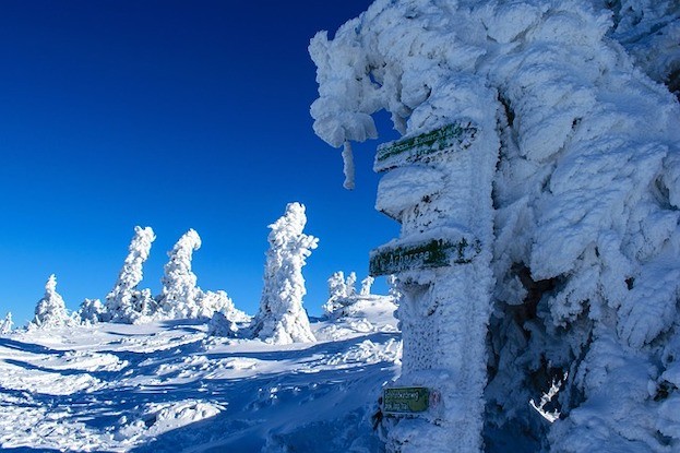 Winterwunderland am Großen Arber