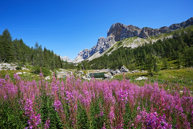 Triglav Nationalpark in Slowenien