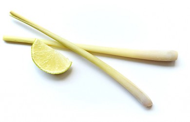 Zitronen- oder Lemongras - ©Pixabay