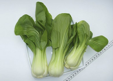 Pak Choi (Chinesischer Senfkohl) - ©Urheber: Karl-Heinz Wellmann, Wikipedia