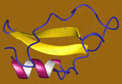 Factor Xa inhibitor, Ornithodoros moubata
 - Deposition authors: Antuch, W., Guntert, P., Billeter, M., Wuthrich, K.; visualization author: User:Astrojan (https://commons.wikimedia.org/wiki/File:1tap.jpg), „1tap“, https://creativecommons.org/licenses/by/4.0/legalcode
