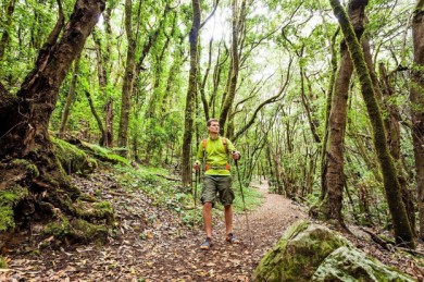 Wandern im Nationalpark Garajonay - ©Turismo de La Gomera