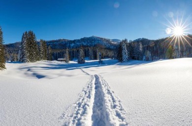 Hemmersuppenalm bei Reit im Winkl - ©Chiemgau Tourismus e.V.