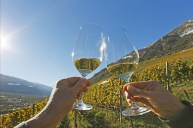 Beim Merano Wine Festival stoßen Gäste aus aller Welt mit aromatischem Wein an  - ©Hotel Therme Meran