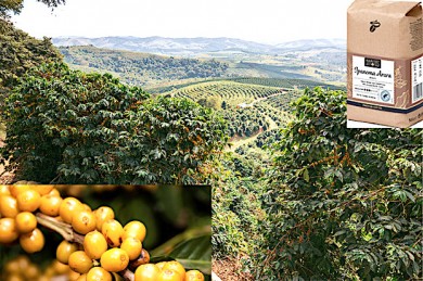 Blick von der Farm Ipanema Arara, gelbe Kaffeebohnen, Ipanema Arara Kaffee-Packung - ©TCHIBO (3)