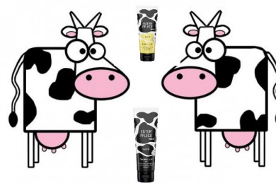 Nicht nur Kühe brauchen eine besonders nachhaltige Euterpflege - ©Pixabay, Haka Kunz GmbH