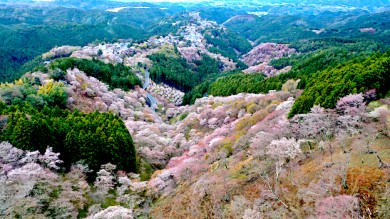 Berg Yoshino - ©JNTO_Nara 1