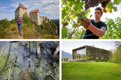 Vom Nürnberger Land bis in den Bregenzer Wald - ©Nürnberger Land Tourismus, ©LFT_Gregor Lengler, Tölzer-Lannd_Thomas Dashuber, ©Bregenzerwald Tourismus_Ines Agostinelli