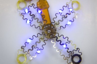 Das Gerät verwendet Licht und eine Technik namens Optogenetik - © Philipp Gutruf, arizona.edu)