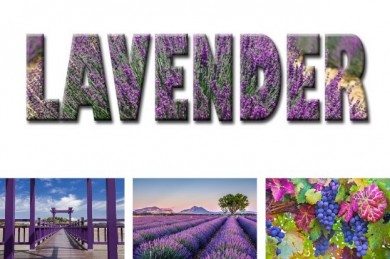 Lavender, Trendfarbe 2023, Südkorea 