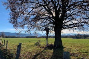 Blick in Murauer Moor - ©MD_Verlag_SvL