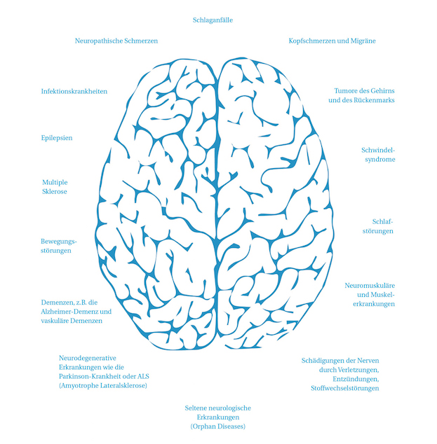 ©Deutsche Gesellschaft für Neurologie (DGN)