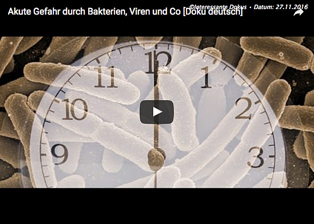 Video-Vorschau
