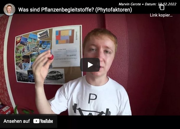 Video-Vorschau